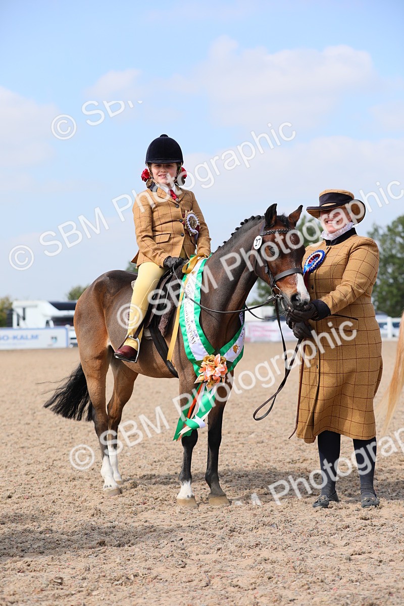SBM_14102 - Class 309 Lead Rein Pony