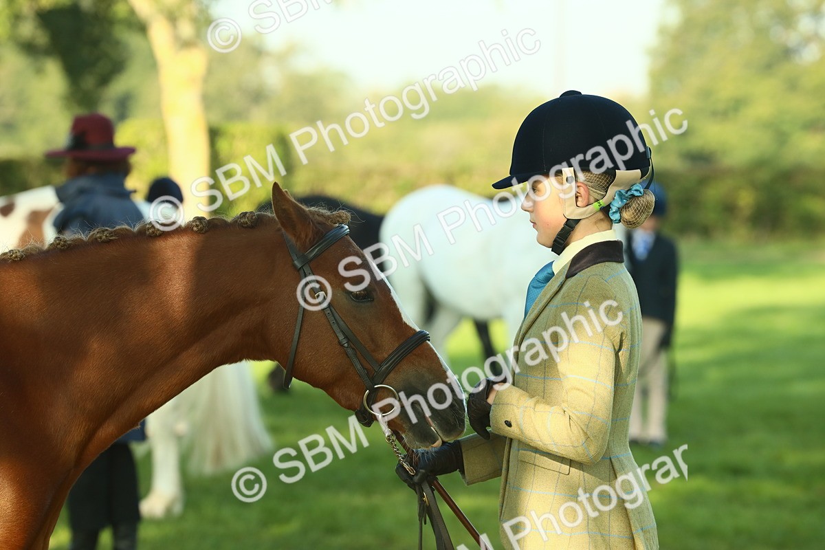 SBM_57518 - S37 - Starters In Hand Showing