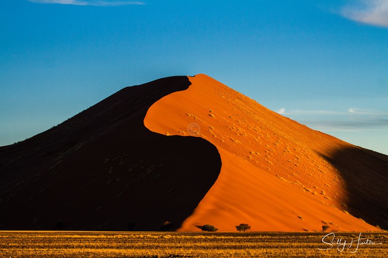 Sossusvlei Sand Dunes 5