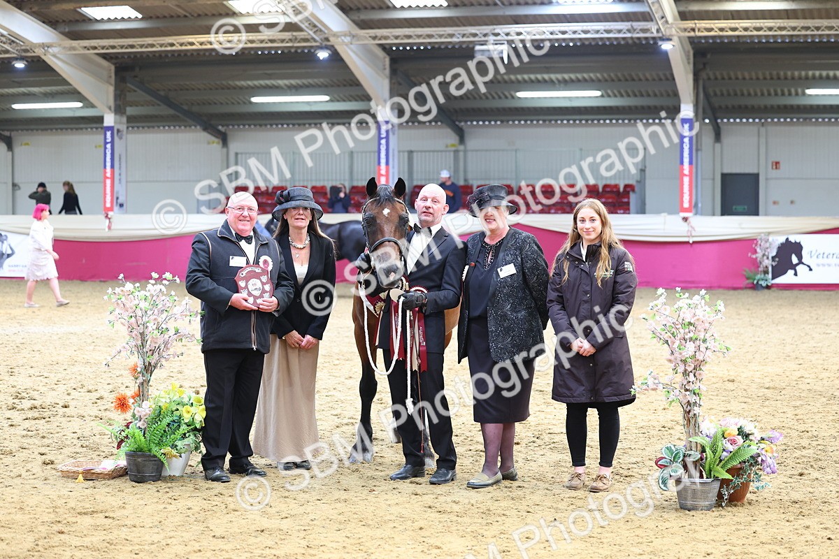 SBM_23016 - Class 903 - Supreme Final - IH Pre Vet