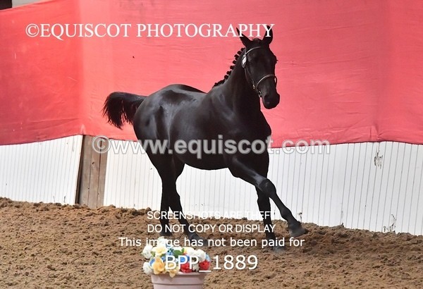 BPP_1889 - AFTERNOON 12.30 - 3.30PM