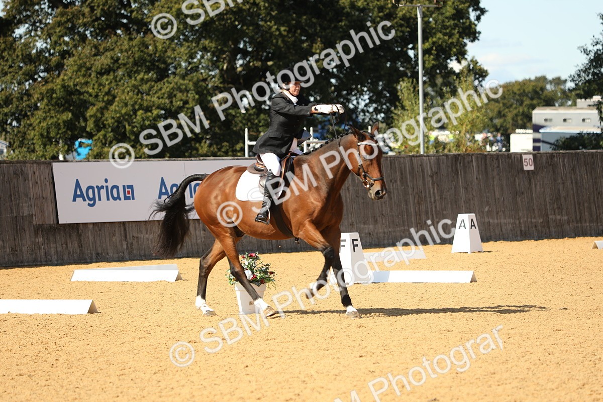 SBM_24445 - D17 - Grand Tour Championship - Novice 27