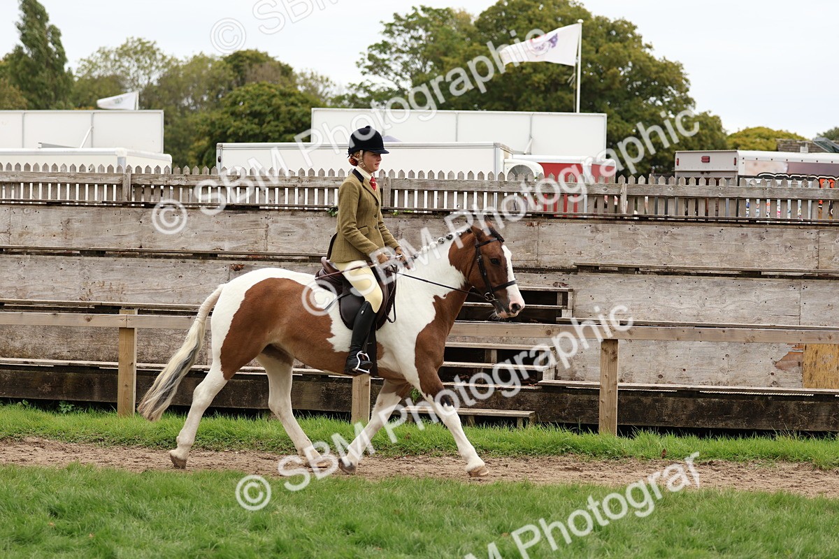 SBM_65196 - S59 - Part Bred Arab & Native Pony Ridden