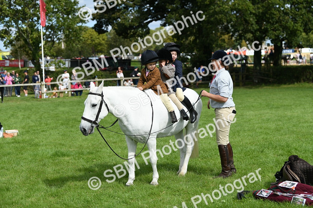 SBM_46798 - S12 - Family Horse & Pony