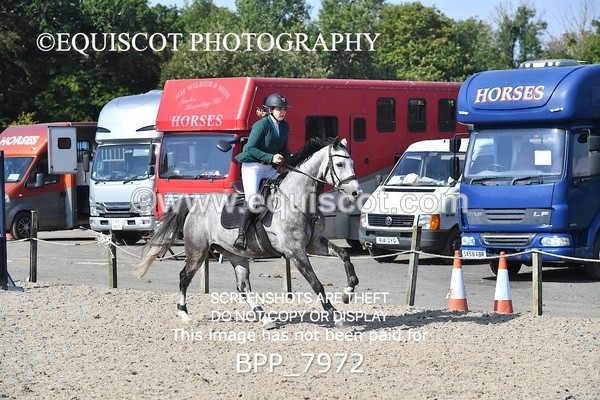 BPP_7972 - CLASS 4 Senior Discovery/ 1m Open