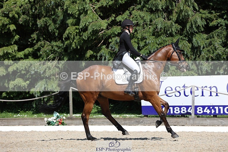 230526-150309-06613 - 377-GOLD_NUGGET-Jillian_Giessen-WEDTrotUp+DR