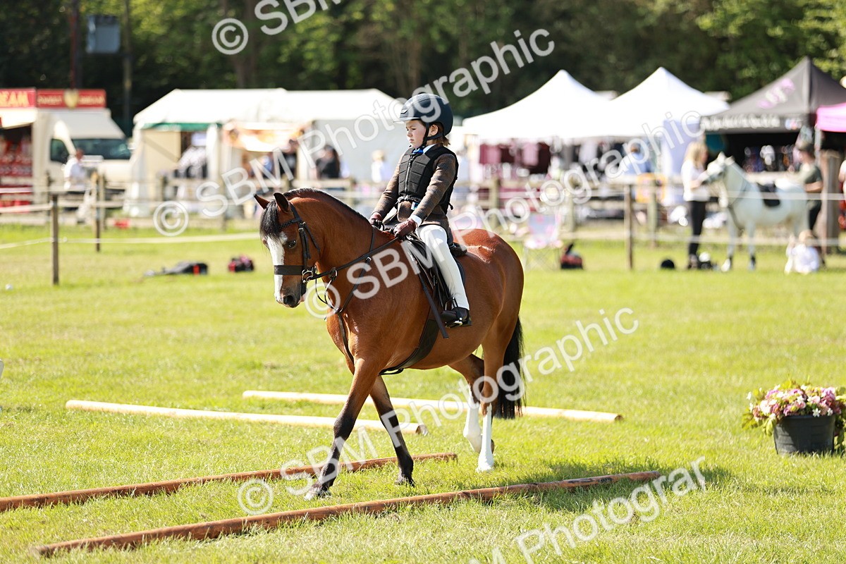 SBM_12732 - Class 106-107 - BSPS LIHS Working Sports Pony
