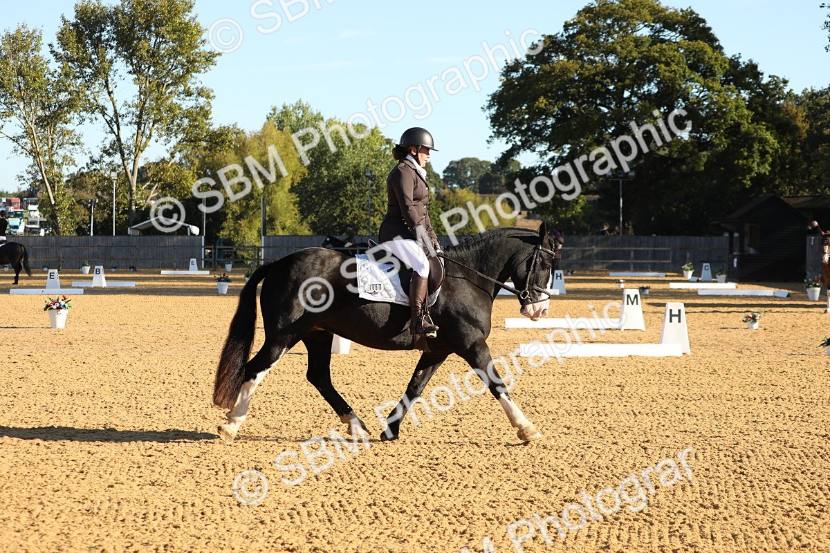 SBM_16352 - D10 - Small Tour Championship - Prelim 2