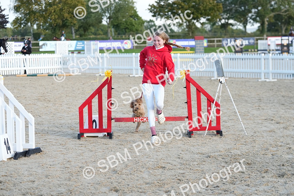 SBM_29475 - J44 - Horse & Hound Open 70cm