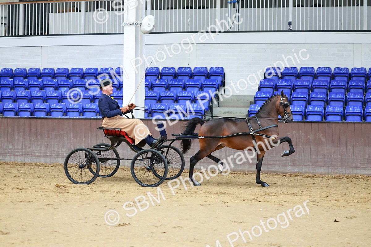 SBM_000616 - Class 9 - HHS Championship Intl Hackney Pony to a Showwagon