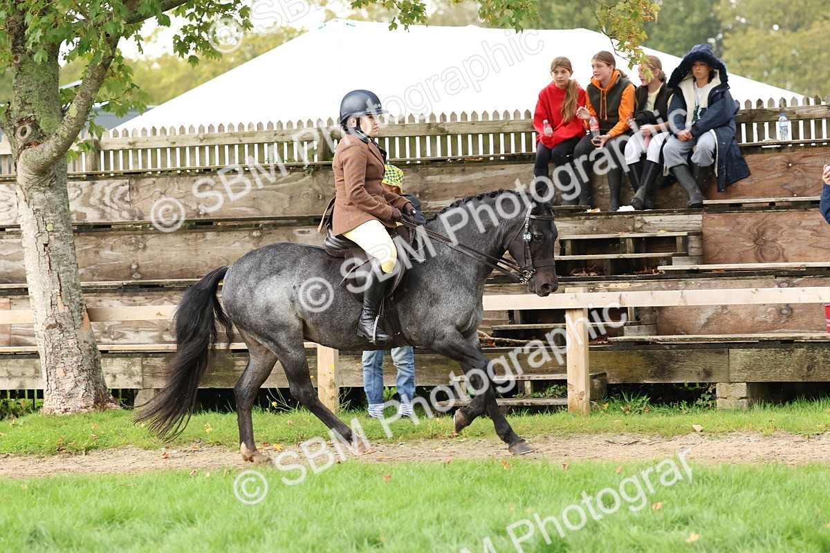 SBM_44990 - S27 - Young Veteran Ridden