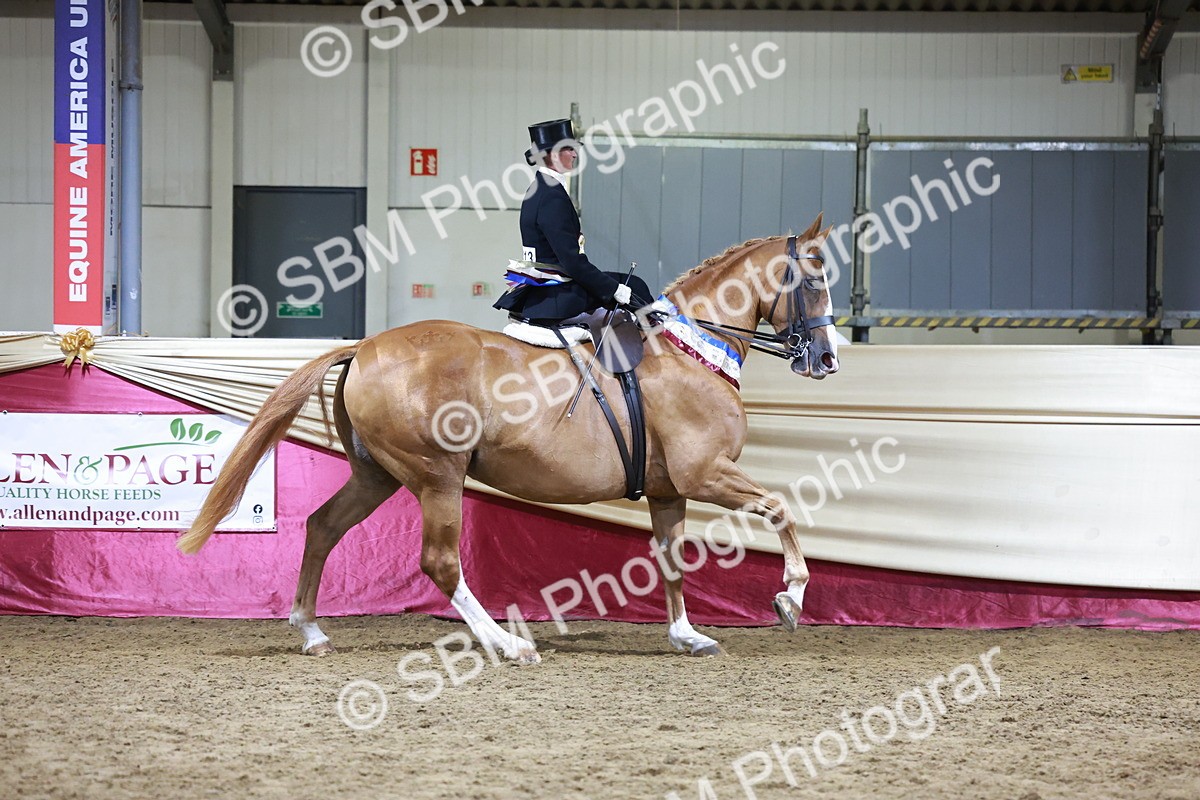 SBM_20970 - Class N - Side Saddle Champ