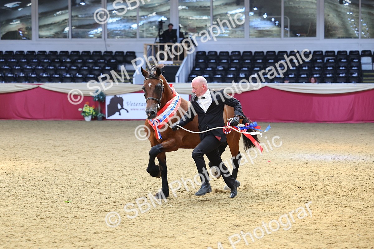 SBM_23271 - Supreme Final - IH Champion