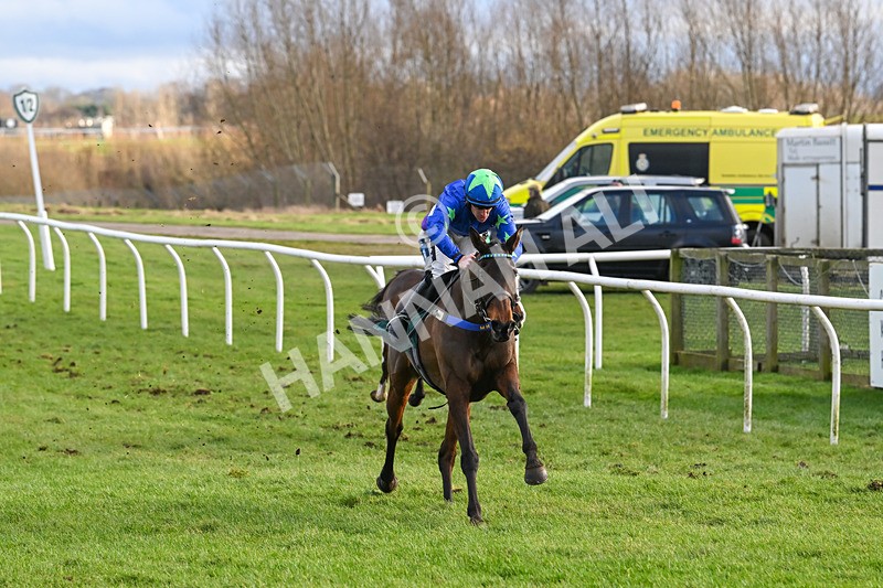 020224-Race 5-Shighness-8527 - Race 5