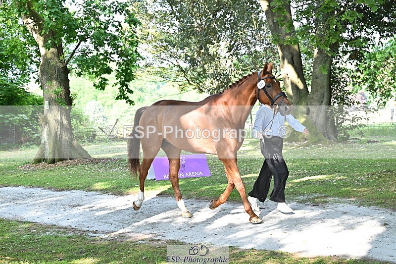 250521A-164759-01337 - C-259-Jasmine.Holmes-MSH.BONANZA