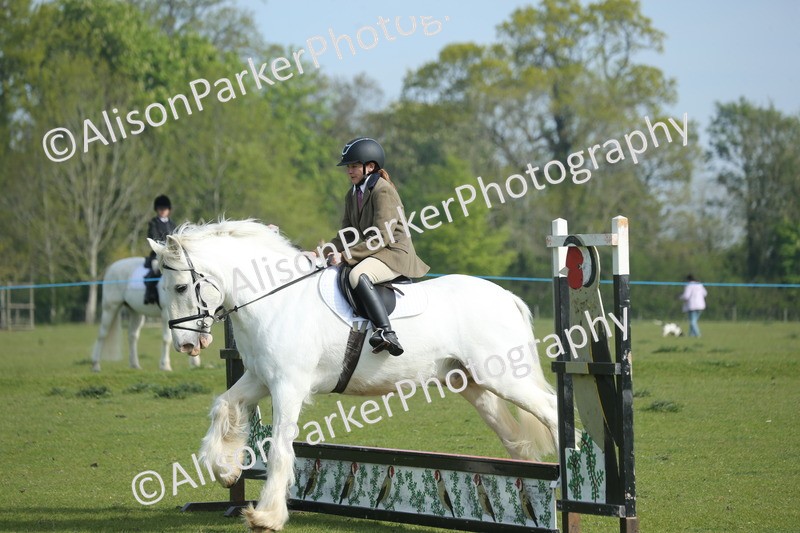 20260426-0142 - Class 13 - Rookie Jumping 50cm