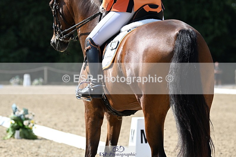 250810A-111200-05772 - 052-Tyler.BradshawMexx