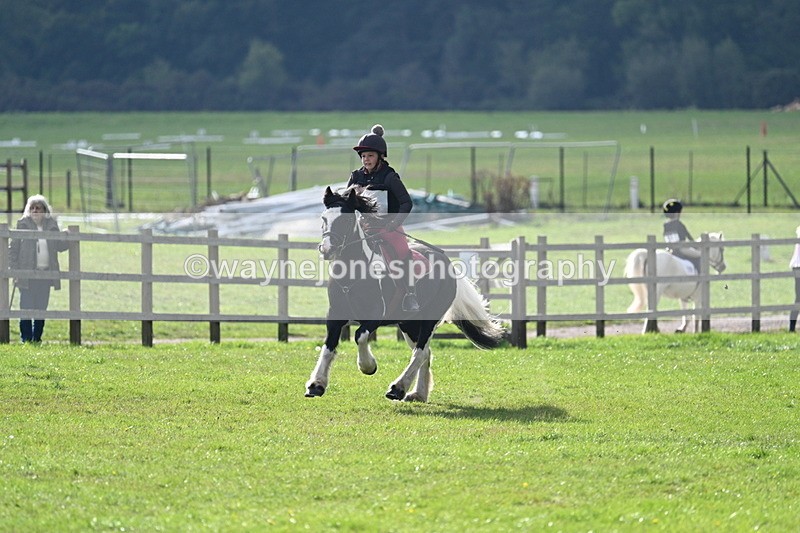 WJ7_3704 - 40cm Time 10:26 to 10:42