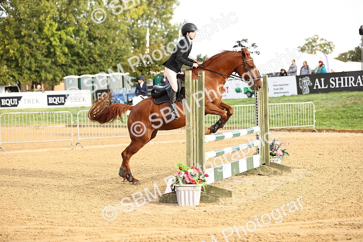 SBM_55117 - J62 - Clear Round 90cm