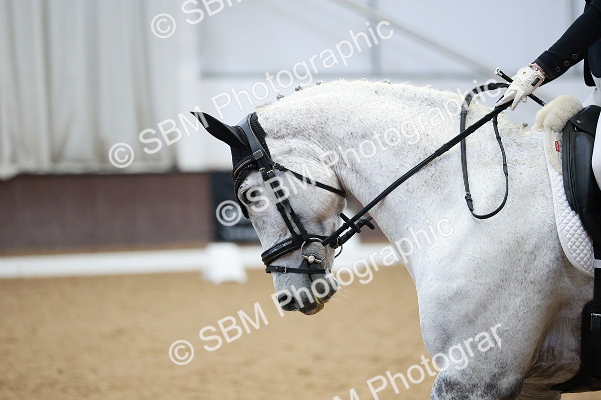 SBM_004442 - Class 2 - Novice 2020