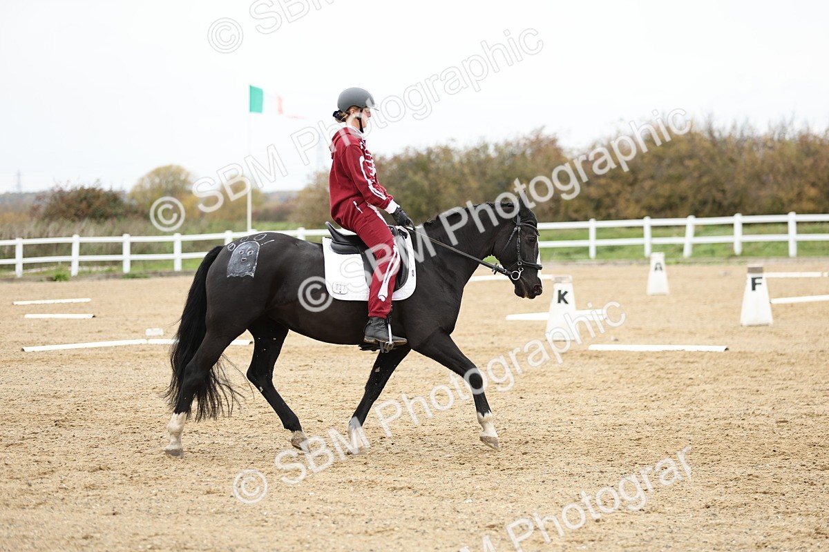 SBM_003707 - Class 9-12 - Novice 2 Elementary 3