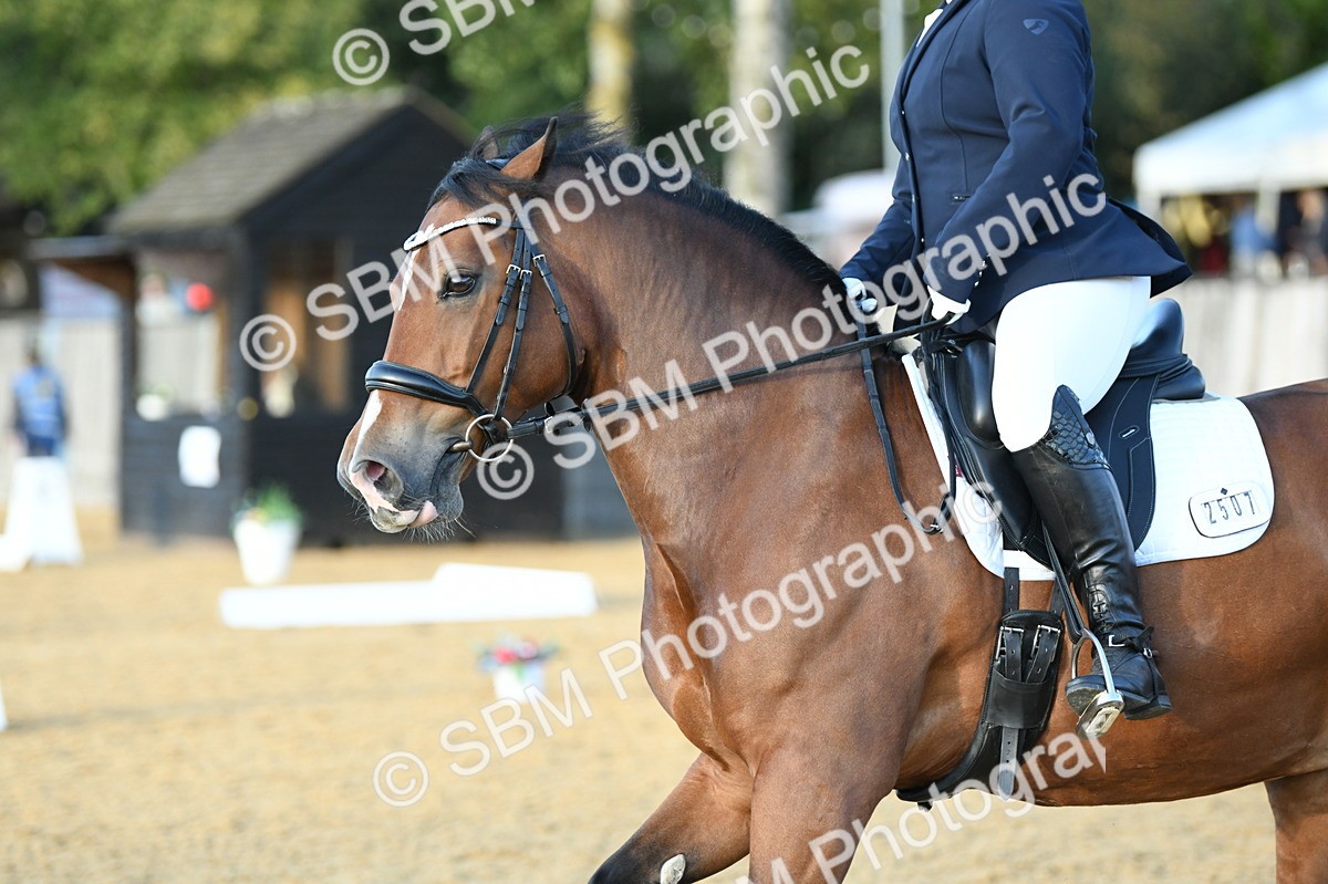 SBM_30936 - D16 - Small Tour Championship - Novice 28
