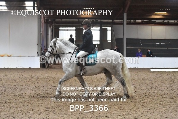 BPP_3366 - INTRO TEST 1