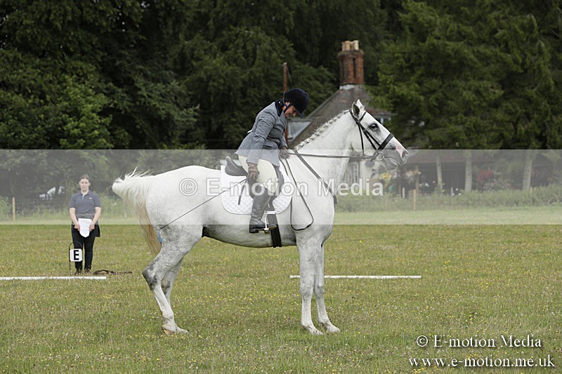 BVR160717-616 - Class 1 & 23a Dressage 16/07/17