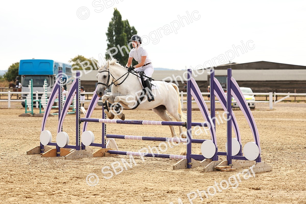 SBM_002138 - Class 9 - Senior British Novice - 90cm