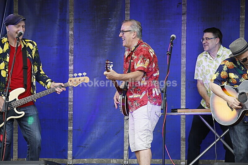 - ELMSTOCK 2019 the music makers