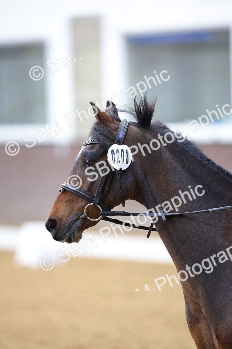 SBM_000145 - PC80 - 8.45-10.34