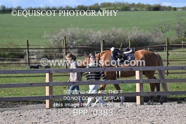 BPP_0383 - CLASS 22 SUN Senior Newcomers/ 1.10m Open