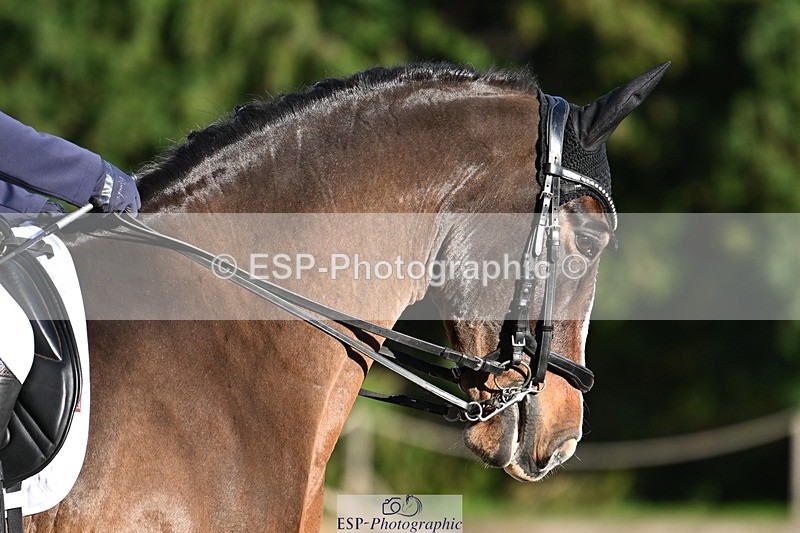 231110-140754-01847 - Cls 7 Medium 61