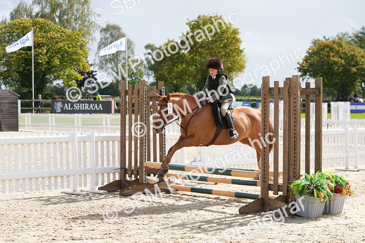 SBM_40773 - Supreme Championship Pony 50-55cm