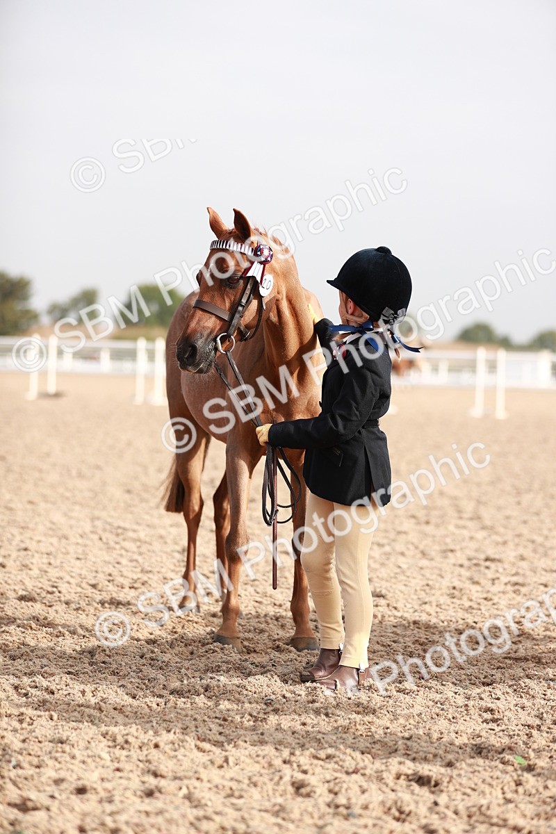 SBM_09919 - Class 203 Young Handler, 10 years and under