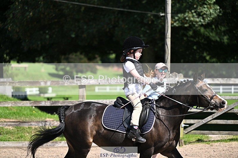 240729B-114037-02490 - Showjumping Competition