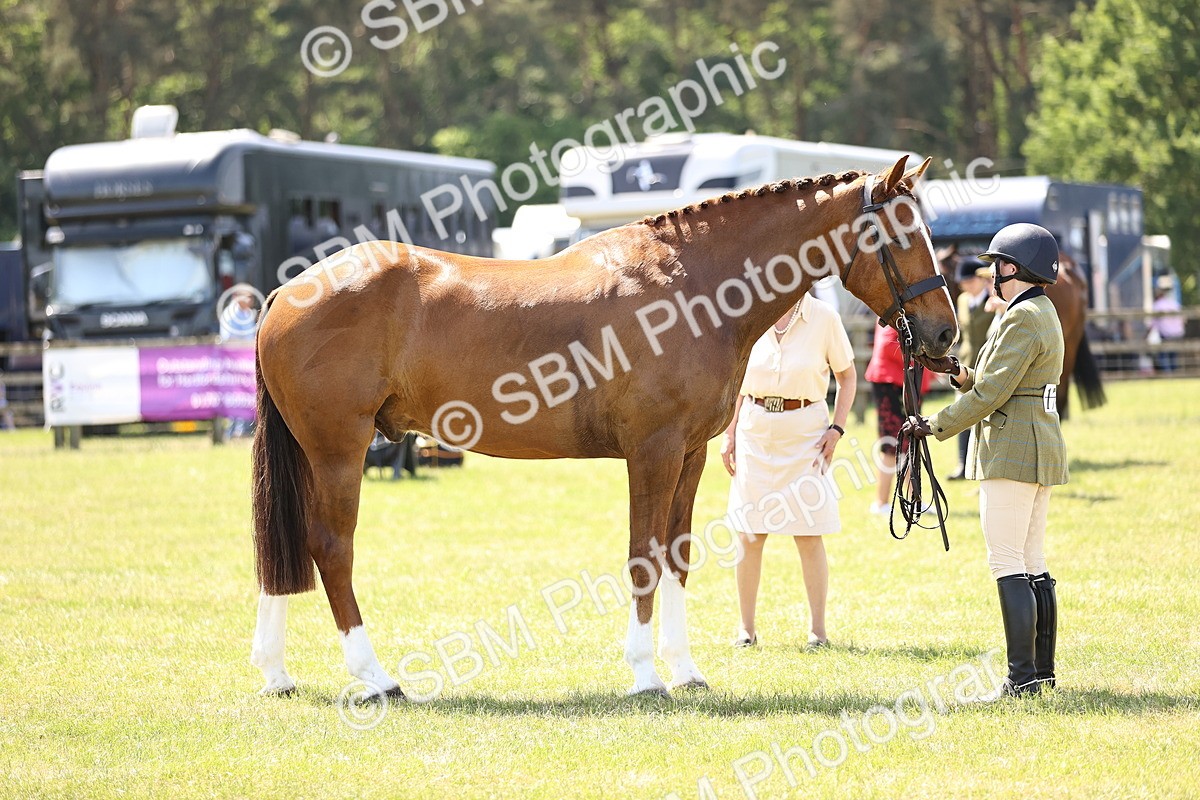 SBM_15190 - Class 79-80 - LIHS BSHA Rising Star Ridden Hunter