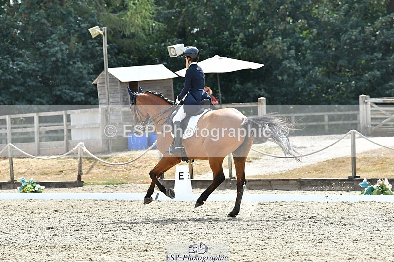 260802A-153340-07485 - Intermediate Bronze