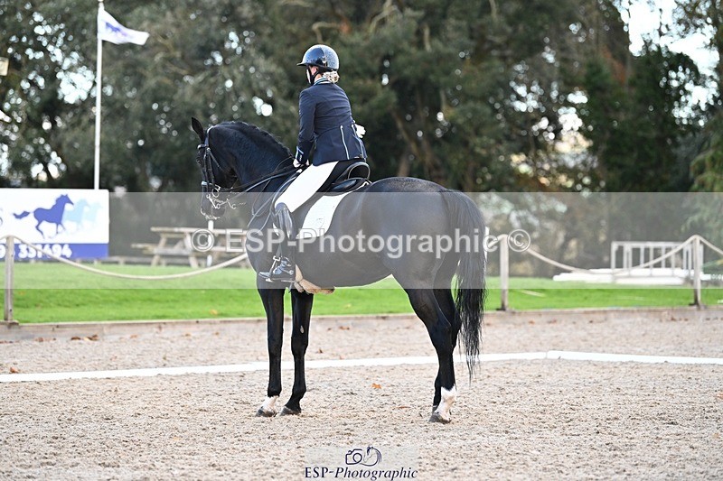 231110-144616-02029 - Cls 8 Medium 75Q