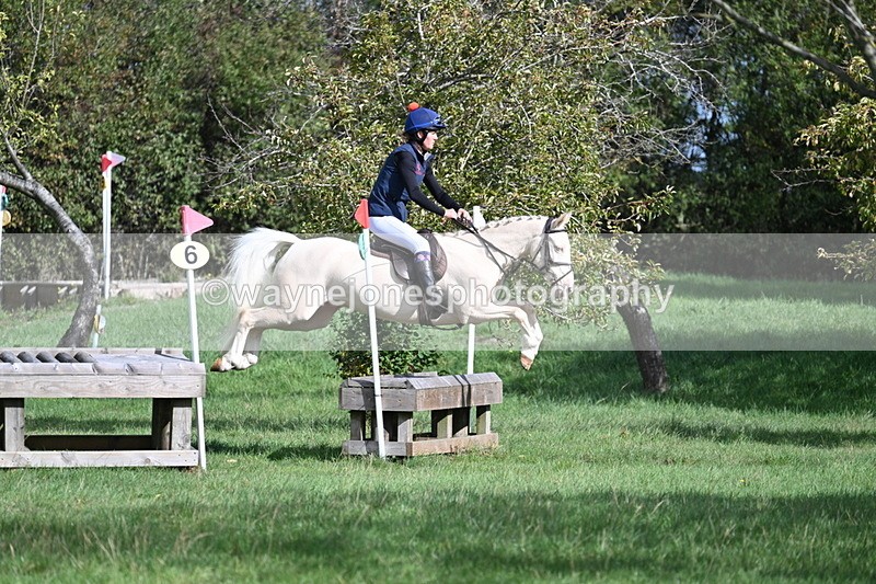 WJ7_8566 - 60cm Pairs