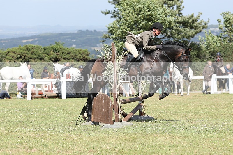 JPP_2177 - Class 19: Working Hunter 60cm