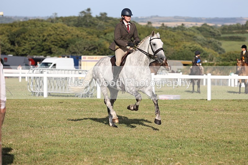 JPP_3420 - Class 22: Working Hunter 90cm