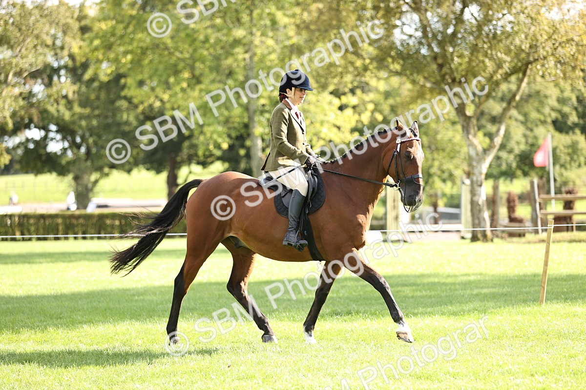 SBM_26343 - S6 - Novice & Newcomers Ridden Horse