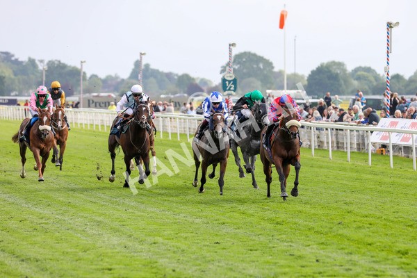 160524-Race 5-Big Evs-1901 - Race 5 4.15pm  British Stallion Studs EBF Westow Stakes