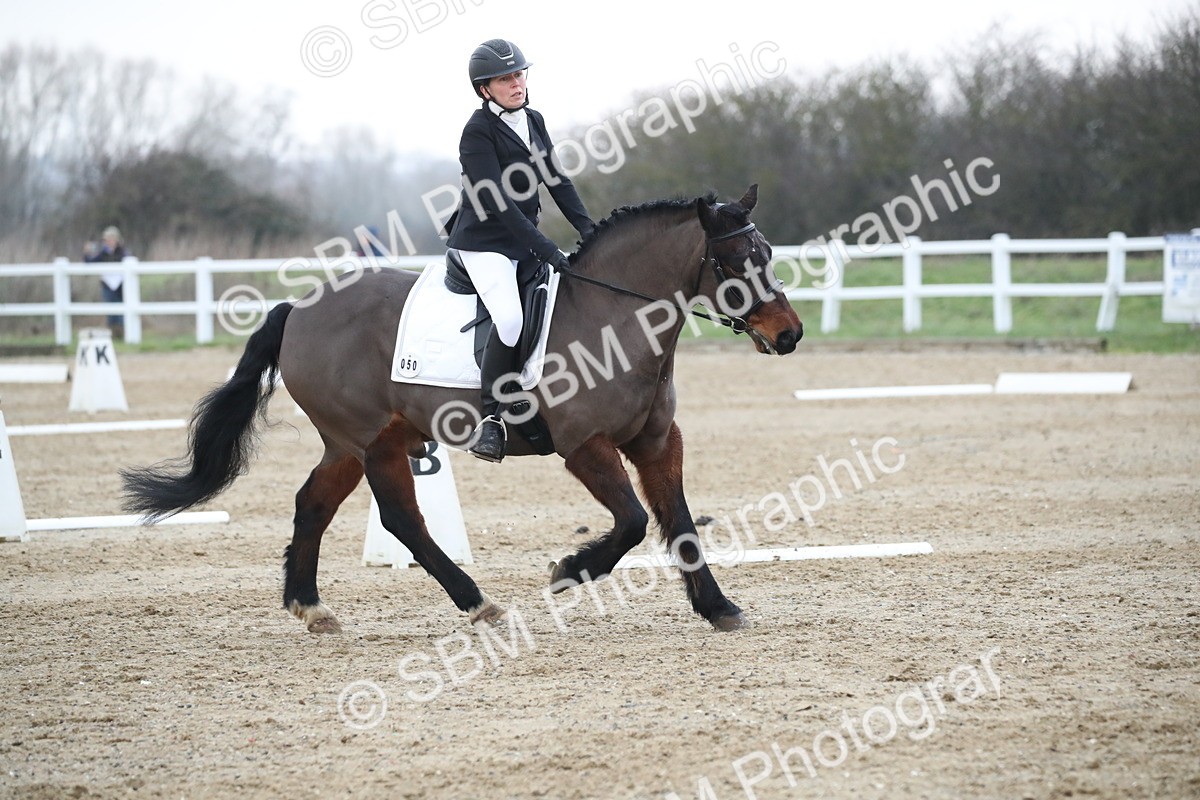 SBM_004634 - Novice 3