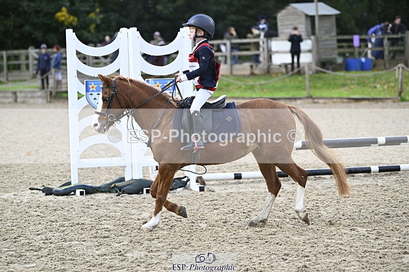 251005A-090836-02964 - Cls 02 GR 50cm