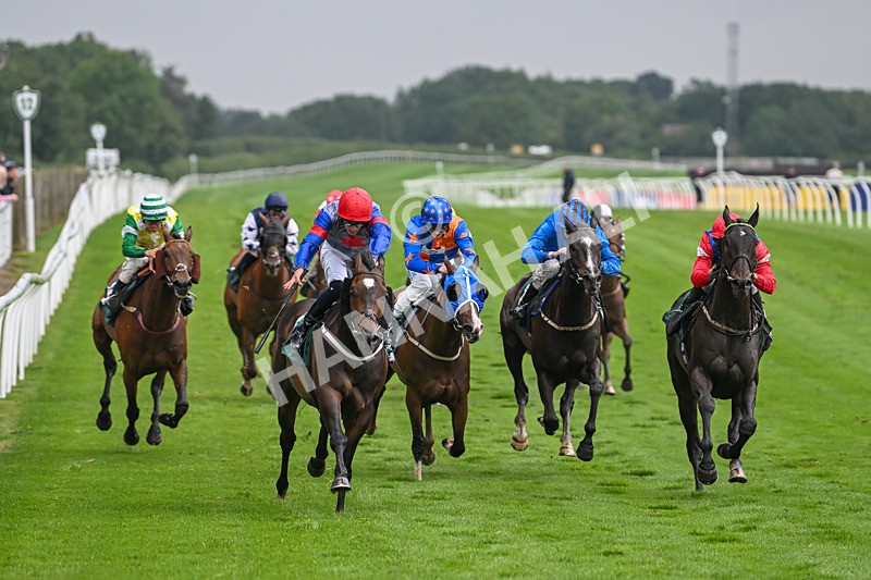 230725-Race 6-Quercus-0597 - Race 6