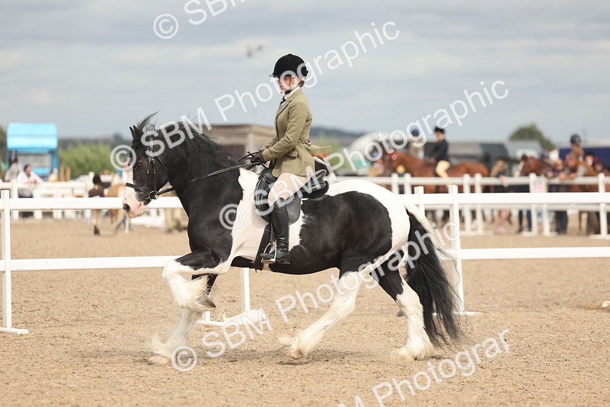 SBM_18024 - Class 314 - Family Horse Pony