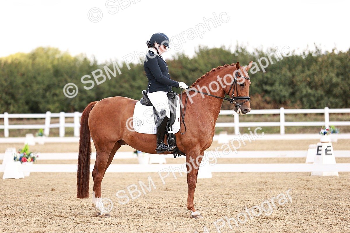 SBM_017670 - Class 11 - Advanced Medium 6