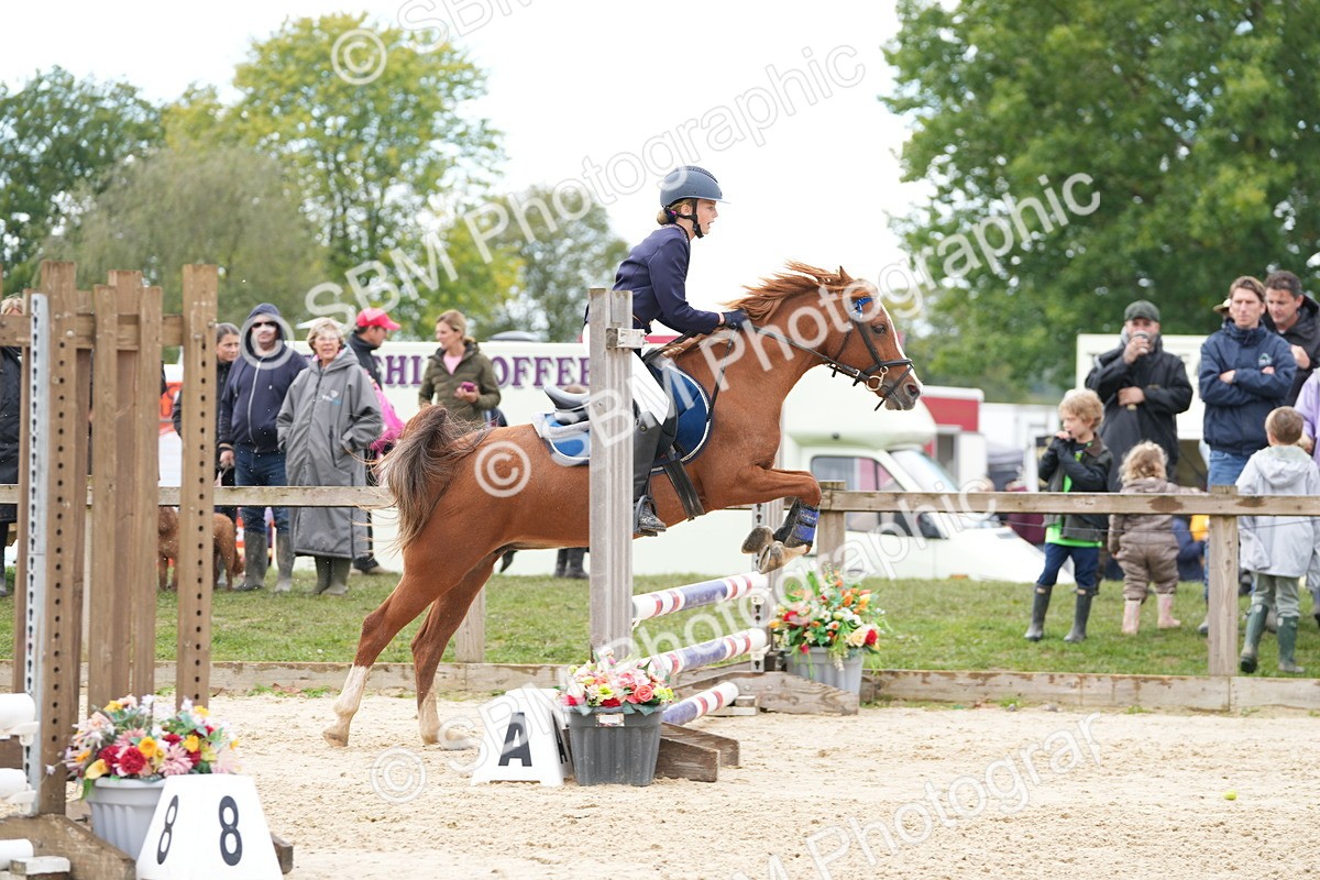 SBM_43474 - J7 - Junior Pony 60cm Championship